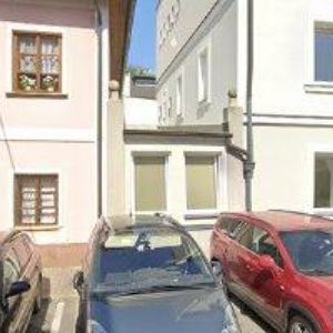 obrazek: avatar NEPRAŠOVÁ ALENA