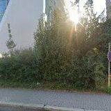 VARDANOVÁ VĚRA-NAIL DESIGN