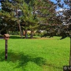 obrazek: avatar ZŠ A MŠ Chvalčov