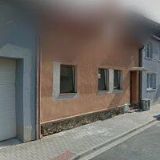 PŘIKRYLOVÁ ZLATUŠE