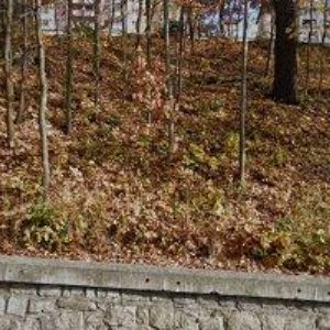 obrazek: avatar MŠ Sychrov