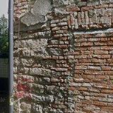 WAPITI, spol. s r.o.