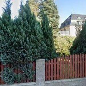 obrazek: avatar BOMBA-CENY s.r.o.