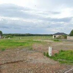 obrazek: avatar DANDA MARTIN