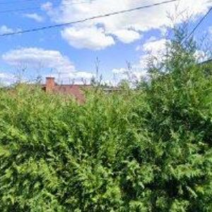 obrazek: avatar HAMERNÍKOVÁ LENKA