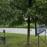 MAGISTRA-LÉKÁRNA ROSA CANINA