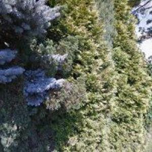 obrazek: avatar LACMAN MIROSLAV-MALÍŘSKÉ A NATĚRAČSKÉ PRÁCE