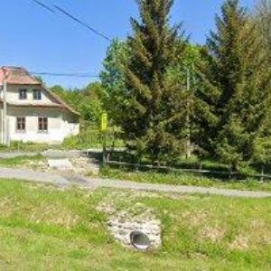 obrazek: avatar TEDO-STYL