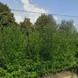 PRŮMYSLOVÉ MALBY A NÁTĚRY ZLÍN s.r.o.