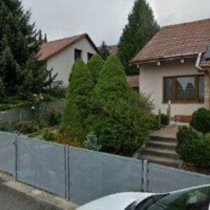 obrazek: avatar RUKAVICOVNÍK.CZ