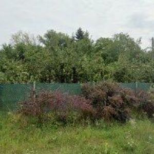 obrazek: avatar UNDERIN.CZ