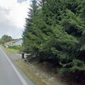 obrazek: avatar TKADEXA