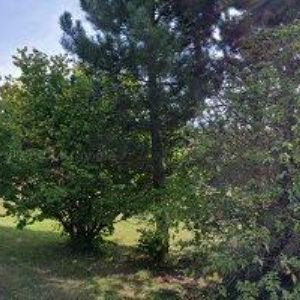 obrazek: avatar JML FITNESS LINE, s.r.o.