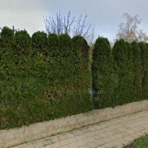 obrazek: avatar BÁRTEK LIBOR Ing.