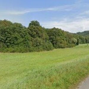 obrazek: avatar ANIMALS HOLDING