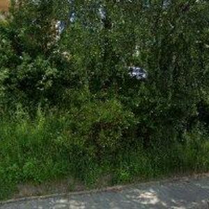 obrazek: avatar COOLMAMA s.r.o.