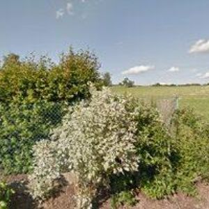 obrazek: avatar GOTZMANNOVÁ IVONA