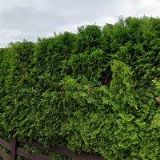 ČEŘOVSKÝ PETR-INVESTIČNÍ SKUPINA