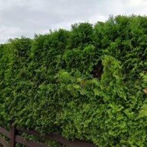 obrazek: avatar ČEŘOVSKÝ PETR-INVESTIČNÍ SKUPINA