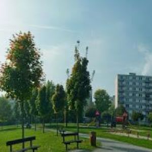 obrazek: avatar ŠÍMOVÁ RADANA-REALITY OTROKOVICE