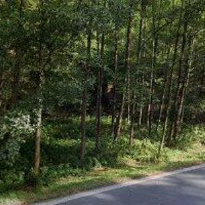 obrazek: avatar DĚTSKÝ DOMOV Dubá-Deštná