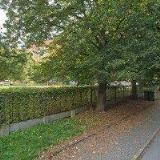 DĚTSKÉ CENTRUM TURNOV