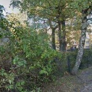 obrazek: avatar TYFLOCENTRUM LIBEREC, o.p.s.