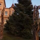 MĚSTSKÁ KNIHOVNA ANTONÍNA MARKA Turnov