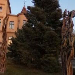 obrazek: avatar MĚSTSKÁ KNIHOVNA ANTONÍNA MARKA Turnov
