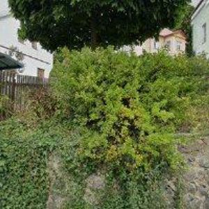 obrazek: avatar YS STAVBY s.r.o.