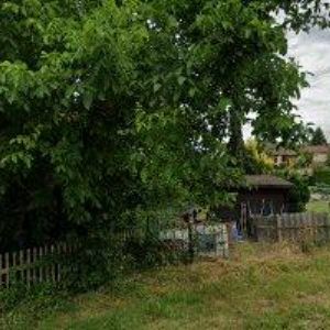 obrazek: avatar OBEC Načešice