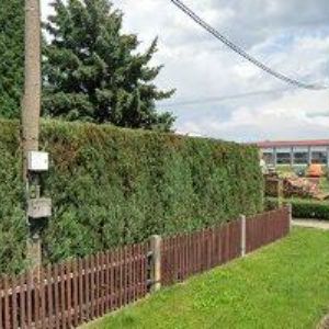 obrazek: avatar OBEC Býšť