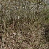 DOMOV NA ZÁMKU BYSTRÉ