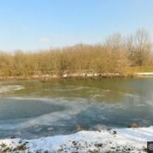 obrazek: avatar KNIHOVNA Kvasice