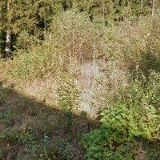 DŮM S PEČOVATELSKOU SLUŽBOU JOSEFŮV DŮL