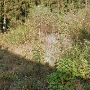 obrazek: avatar DŮM S PEČOVATELSKOU SLUŽBOU JOSEFŮV DŮL