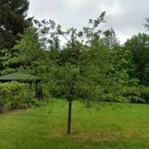 obrazek: avatar DOMOV DŮCHODCŮ ROKYTNICE NAD JIZEROU