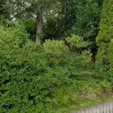 DŮM S PEČOVATELSKOU SLUŽBOU STUDENEC