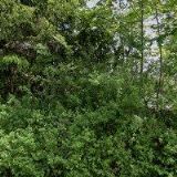 LŮŽKOVÉ A SOCIÁLNÍ CENTRUM PRO SENIORY