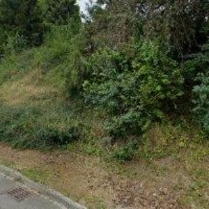 obrazek: avatar CIMBUREK JAN-JC ZDRAVÍ