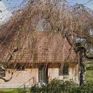 obrazek: avatar KIRCHNER PAVEL