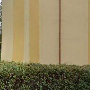 obrazek: avatar ŠKRABÁK RADOMÍR