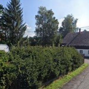 obrazek: avatar BALÁZS GABRIEL