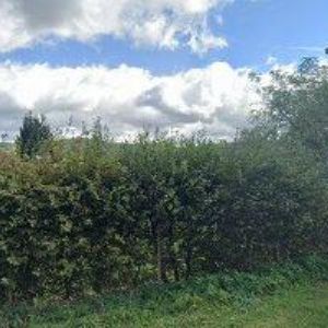 obrazek: avatar PETRBOT JIŘÍ