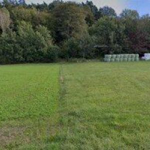 obrazek: avatar ŠVARNÝ JAN