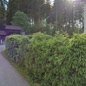 obrazek: avatar HALAMA JIŘÍ