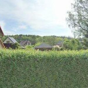 obrazek: avatar PITHARD ROBERT-KAMNÁŘSTVÍ