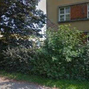 obrazek: avatar MALÍŘI