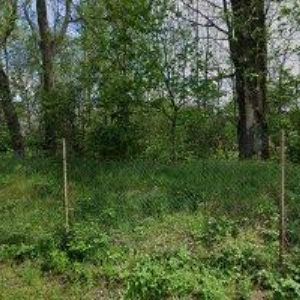 obrazek: avatar BOHUNĚK MIROSLAV