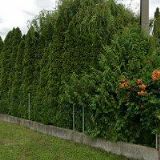 STROJNÍ OMÍTKY ZEMAN s.r.o.